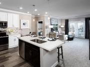 2 BR, 2 BA Apartment 309 Palazzo Circle Unit 313P306,...