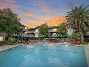 2 BR, 2 BA Apartment 4443 Ocean Drive Unit 210, Corpus...