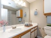 2 BR, 2 BA Apartment 51 Northtown Drive Unit 013A,...