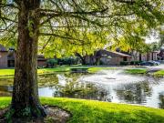 2 BR, 2 BA Apartment 9439 San Jose Blvd Unit 257,...