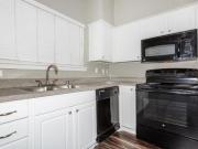 2 Br, 3 bath, Apartment 2525 Preston Road