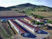 2 camere da letto, Magione Umbria 96319340