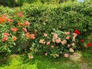 2 camere da letto, Rome Rome 00119 94497227