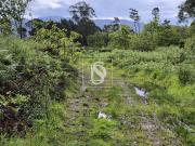 2 dois Artigos Rústicos Área de 11.000m2 Viana do Castelo