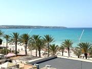 2 Dormitorio Apartamentos PALMA MALLORCA 94522456