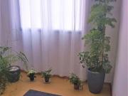 2 DORMS, REFORMADO, FÀCIL ACESSO AO METRÔ JABAQUARA, 53...
