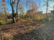 2 Familienhaus auf XLL Grundstück, mit Einliegerwohnung