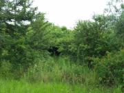 2 ha Land available in Ashburton