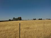 2 ha Land available in Brakpan North