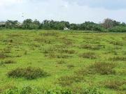 2 Hectares Lot for Sale at Bacoor City Cavite near...