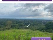 2 hectares Raw Land For Sale in Kili og Libona Bukidnon...