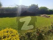 2 kanal House Available for rent