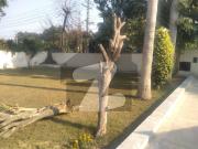2 Kanal House Available For Rent In DHA Phase 1 Block J...