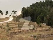 2 Kanal Plot Available For Sale At Abbottabad Qalanderabad