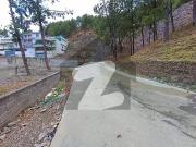 2 Kanal Plot For Sale At Biliqas Town