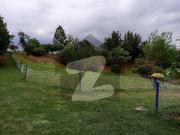 2 Kanal Plot For Sale In Anchorage
