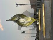 2 Kanal Plot Investors Price Plot For Sale In Sec B In...
