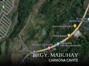 2 Lots for Sale in Brgy. Mabuhay, Carmona Cavite
