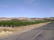 2 Magnificent Wine Properties for Sale!