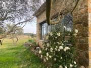 2 Mas En Pierre Accoles 220 M² Sur 1h4 Avec Piscine...