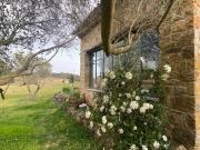 2 Mas En Pierre Accoles 220 M² Sur 1h4 Avec Piscine...