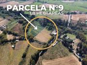 2 PARCELAS DE 6500 M2 cada una, sector PORVENIR PALMIRA...