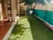 2 PIECES Meublé 33 M² BORMES LES MIMOSAS