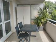 2 PIECES SAINT LAURENT DU VAR VESPINS