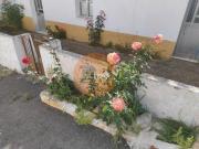 2 quarto, Castro Marim Faro 8950 323 92191842