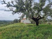 2 quarto, Santiago do Cacém Setúbal 98601252