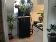 2 Raum Wohnung Dachgeschoss Duisburg Laar Rheinnähe