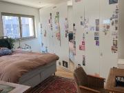 2 room 81 m2 apartment in Berlin Mitte with terrace,...
