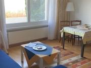 2½ room apartment in Gwatt Thun, furnished, temporary