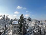 2½ room apartment in Zürich Kreis 8 Riesbach, furnished,...