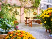 2 room apartment on ground floor near Alexanderplatz,...