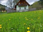 2 Schlafzimmer Möderbrugg 8763 96745904