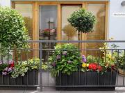 2 Schlafzimmer Wohnung Berlin Deutschland 97126070