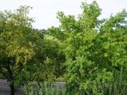 2 Schlafzimmer Wohnung Kirchheim Teck Deutschland LS94322762