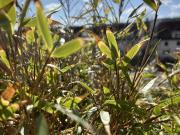 2 Schlafzimmer Wohnung Kulmbach Deutschland 96206194