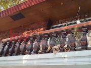 2 Storey House and Lot for Sale in San Miguel Village,...