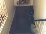 2 Storey House with Extension FOR SALE in Scout Area QC