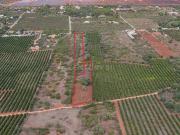 2 Terrenos Rústicos à Venda em Algoz