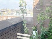 2 To 3 Weeks Sublet Whole 1Bed Flat