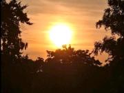 2 WG Zimmer an der TU Berlin