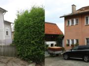 2 Wohnhäuser plus 7 Garagen