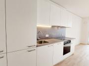 2 Zi. Erstbezug mit Rooftop Wellness & Donaublick |...