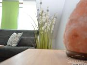 2. Zi. Wohnung im Zentrum