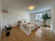 2½ ZI WOHNUNG IN SCHAFFHAUSEN, MÖBLIERT