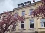 2 Zimmer 49 m² 910 € Kaltmiete Wohnungen in Bonn / Nordst. 2 Zimmer 49 m² 910 € Kaltmiete Wohnungen in Bonn / Nordst.