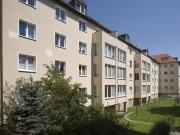 2 Zimmer 50 m² 405 € Kaltmiete Wohnungen in Dresden